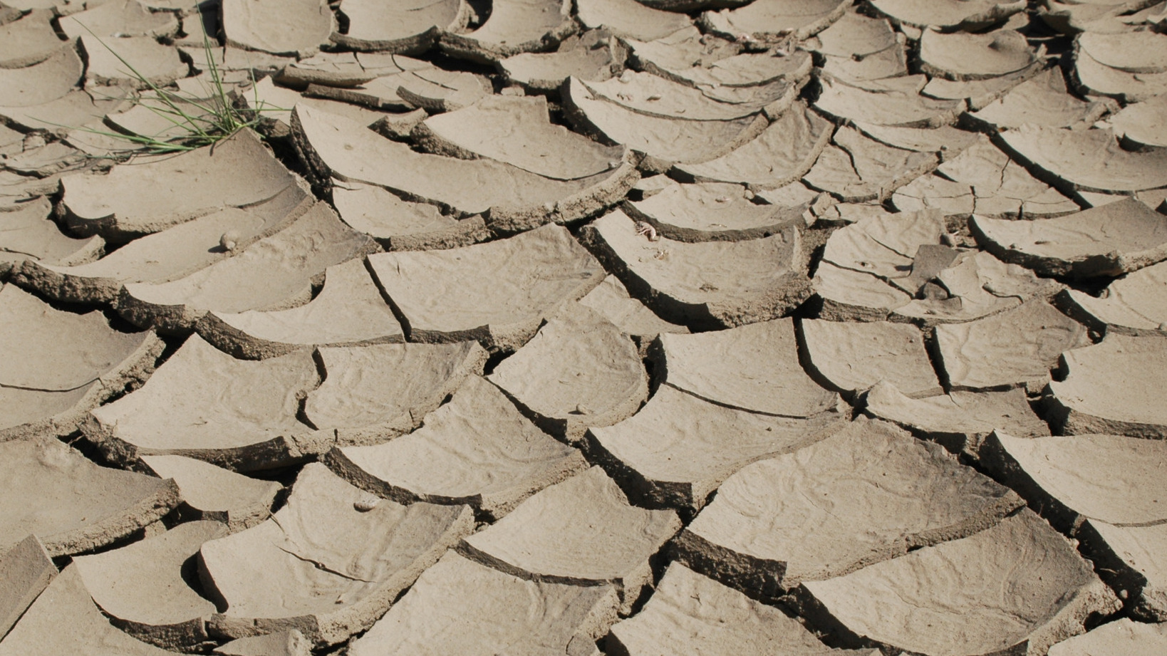 Can law really curb greenhouse gases?